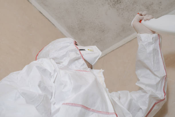 Best Biohazard Mold Removal  in Montrose, NY